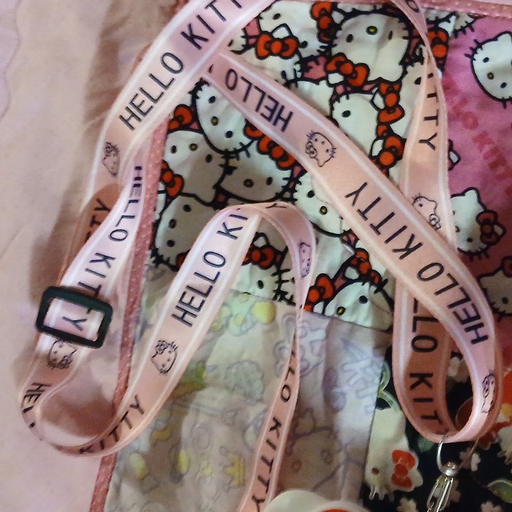 Hello Kitty Bundle - image 3